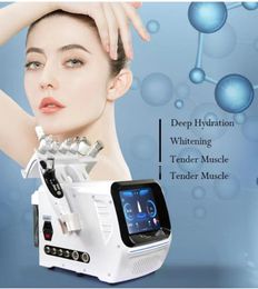 Máquina de cuidado de la piel azul hielo inteligente facial de belleza de alta calidad 7 en 1 máquina facial de oxígeno h2o2