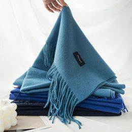 High Quality Cashmere Scarf Women's Wool Shawl Outdoor Men's Scarves Warm Blanket