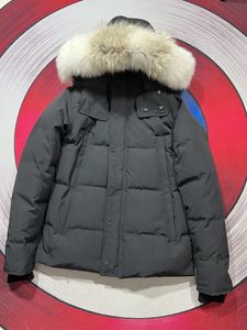 Veste de haute qualité Version correcte Logistique rapide gratuite Fourrure de coyote de qualité supérieure proche du manteau de mode chaud original Hip Hop Parkas pour hommes complets