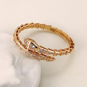 Hoogwaardige ontwerper Diamond armband vol met diamanten slang-bone armband Leer Snake-Open hoofd- en staartdiamantarmband voor mannen en vrouwen Valentijnsdag Gift