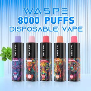 Fournisseur de vape jetable de haute qualité Les vapoteurs de guêpes bouffent 8000 bouffées 8K goût riche goût durable e cigarette pod bouffées cigare vaper desechable