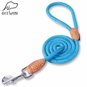 Laisse de chien de haute qualité Produits pour animaux de compagnie pour laisses Colliers Fournitures Harnais ferme durable Accessoires pour animaux de compagnie