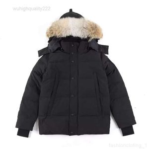 Haute qualité doudoune manteau réel grand loup fourrure canadien Wyndham pardessus vêtements mode Style vêtements de sortie d'hiver Parkaceg0