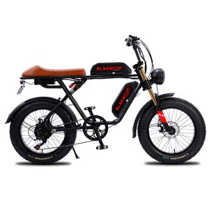 Haute qualité Ebike AKEZ rétro vélo électrique 500W vélo électrique Double batterie vélo