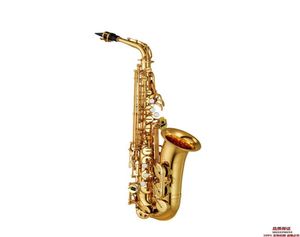 SAXOPHONE GOLDEN ALTO de haute qualité YAS82Z Japon Brand Alto Saxophone Eflat Music Instrument Professional Niveau 6220249