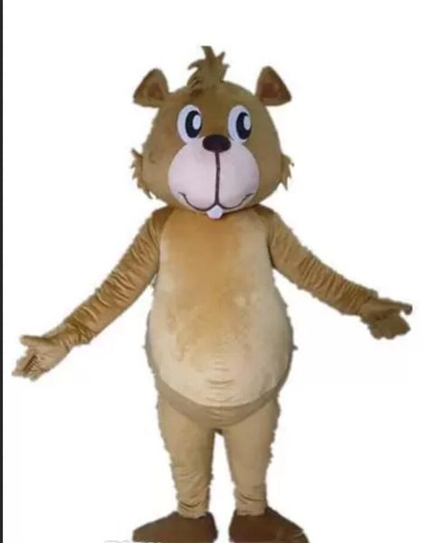 Costume de mascotte d'écureuil brun de haute qualité avec une petite bouche pour adulte à porter