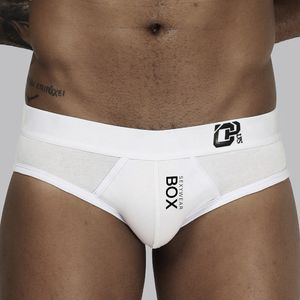Haute qualité taille basse Sexy hommes sous-vêtements slips Lingerie coton lait fibre pantalon Gay caleçons Cueca