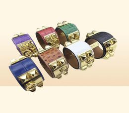 Joyería de diseño de lujo de alta calidad, pulsera de cocodrilo, brazalete de acero inoxidable, brazalete de amistad para hombres y mujeres, pulsera de cuero 1860375