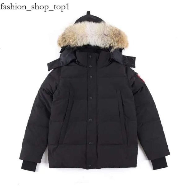 Haute qualité hommes Canada veste veste réel grand loup Furovercoat vêtements mode Style vêtements de sortie d'hiver Parka Canada 502