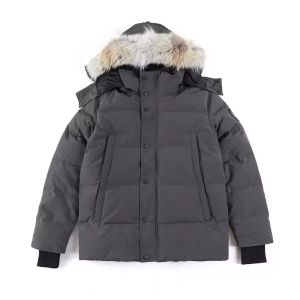 Hoogwaardige heren Down Jacket Goose Coat Real Big Wolf Fur Canadian Wyndham Overjassen Kleding Modestijl Winter Outerwear Parka Jacketstop Qing