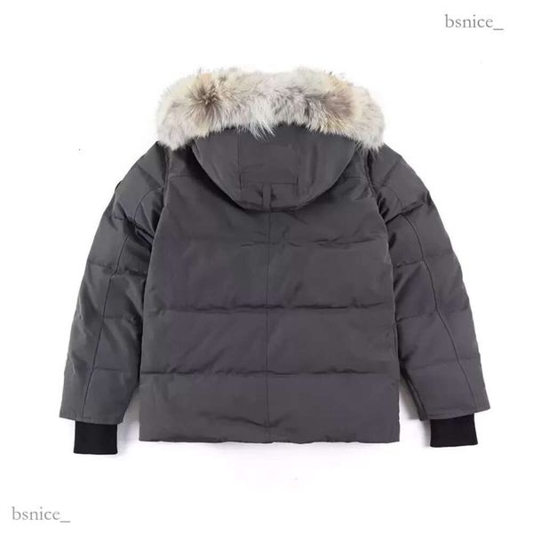 Chaqueta de plumón para hombre de alta calidad Abrigo de ganso Real Big Wolf Fur Canadian Wyndham Abrigo Ropa Casual Estilo de moda Ropa de abrigo de invierno Parka al aire libre 286