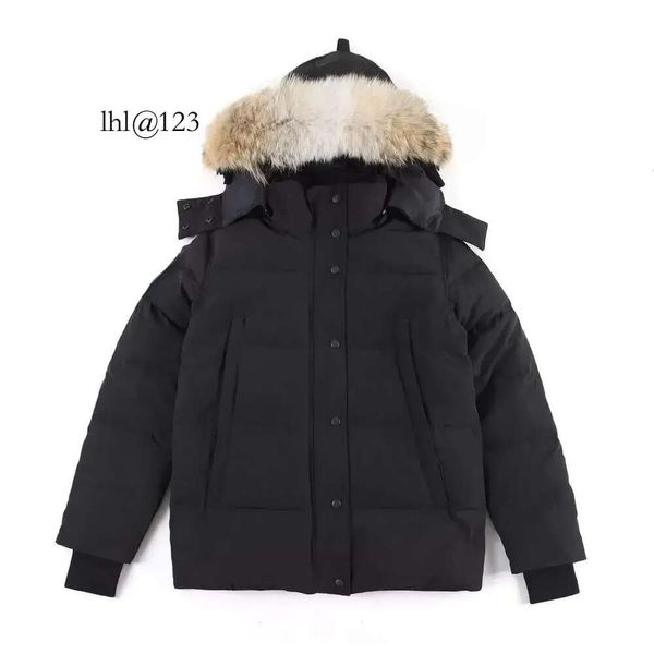 Haute qualité hommes doudoune manteau d'oie réel grand loup fourrure canadien Wyndham pardessus vêtements mode style vêtements d'extérieur d'hiver P B vente en gros 2 pièces 10% de réduction