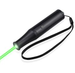 Mini 5MW Flagon Type Green Laser Pointer Tactical Pen Lazer Pointer 532nm Visible Beam Astronomy9062942