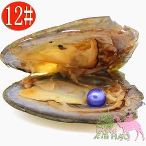 Hoge kwaliteit Natuurlijke Zoetwaterparel Oyster, 12 # Kleur Parel één in Driehoek Oyster Vacuüm Verpakking Spot Groothandel (gratis verzending)