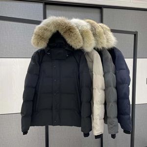 Haute qualité Top Parkas Manteaux Hommes Femmes Designers Down Canadian Gooses Vestes Veste Homme Hiver Jassen Puffer Big Fourrure Sweats à capuche Fourrure Manteau d'hiver