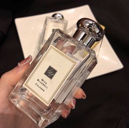 Parfum de haute qualité Wild Bluebell 100ML parfums de Cologne parfums pour femmes parfum aromatique aromatique durable déodorant livraison rapide