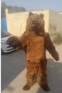 Haute qualité Real Pictures costume de mascotte d'ours brun Costume de personnage Taille adulte livraison gratuite