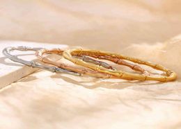 Bracelets et Bracelets en bambou en acier inoxydable de haute qualité pour femmes, bijoux à la mode en titane et or Rose, cadeaux pour petite amie 7188159