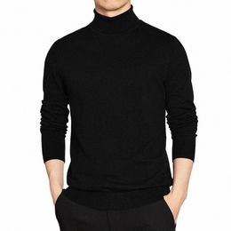 Pull à col roulé de haute qualité hommes pull basique solide pull à col roulé mâle noir vin rouge vert gris violet tricots homme u2DB #