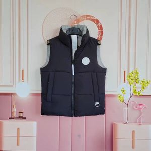 Gilet d'hiver en duvet d'oie de haute qualité pour hommes et femmes, épais et chaud, sous-vêtement imperméable, section d'expédition 08, veste sans manches