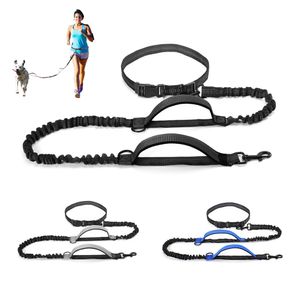 Hoge Qulity Intrekbare Handsfree Hondenriem Voor Running Dual Handvat Bungee Leash Reflecterende Voor Grote Honden Dierbenodigdheden