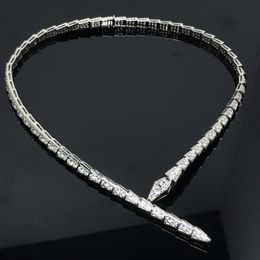 Hoge versie van de Snake Bone volledige diamanten halsketting Liefhebbers Mode Persoonlijkheid Item Herfst Dame Licht Luxe Minderheid Ontwerp Gevoel