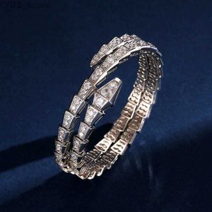 Hoge versie v Nieuwe Dubbele Cirkel Micro Set Zirkoon Plated Elastische Smalle Editie Snake Damesarmband 240228