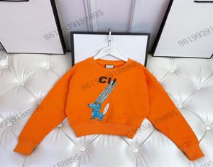 Pulls pour bébés haut de gamme Vêtements de créateurs pour enfants Pulls Cardigan Automne et hiver nouveau pull tricoté pour enfants 039s gi8052781