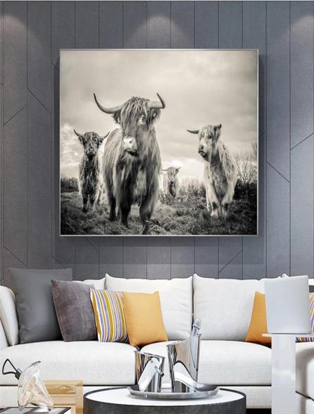 Highland Cow Affiche toile ART ANTAL ANSTERS ET IMPRESS