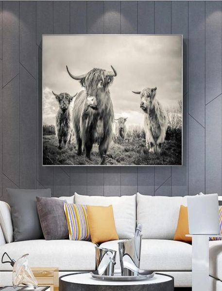 Highland Cow Affiche toile ART ANTAL ASPIRES ET IMPRESS
