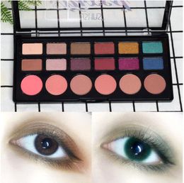 Zeer pigmented oogmake-up palet, matte glans metalen oogschaduw pallet langdurige enorme natuurlijke kleuren: 12 tinten oogschaduw en 6 kleuren blozen