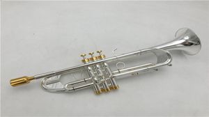 Baja Trumpet Instrument de haute qualité LT190S77 réduit le bouton B Gilt pour jouer à la trompette Bell5676933