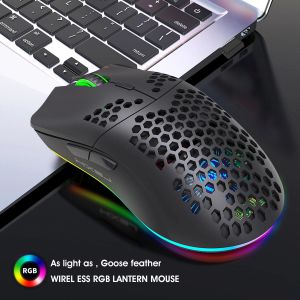 Scharnieren HXSJ draadloze gaming muis RGB Luminous Ultra Light USB 2.4G Cellular 3600DPI voor kantoorcomputers notebook laptop muizen