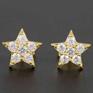 Hiphop volledige zirkon sterstuds oorbellen voor mannen dames nieuwe stijl bengelen oorbellen 18k goud/platina vergulde sieraden groothandel