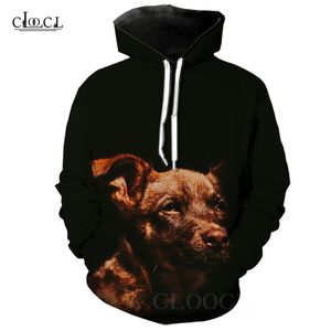 Hip Hop pulls à capuche pour hommes impression 3D mignon chiot à manches longues sweats à capuche Cool Animal chien à capuche mode Streetwear pull à capuche