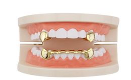 Hip Hop Smooth Grillz Real Gold Grills dental dental Vampiro Tigre Tigre Rappers Body Jewelry Four Colors Golden S Jllzln Ffshop201447581