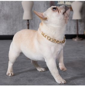 Hip hop Teddy fadou chien grande chaîne en or petits et moyens chiens colliers collier pour animaux de compagnie accessoires de chat en plein air 4 couleurs DB694