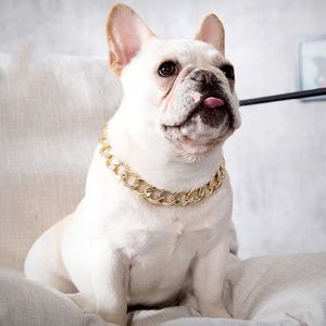 Hip hop Teddy fadou hond grote gouden ketting kleine en middelgrote Halsbanden huisdier Ketting kat accessoires 4 kleur T2I518605758200