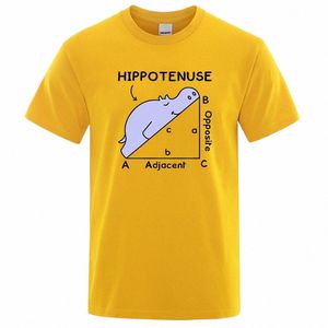 Hippotenuse opposé adjacent drôle imprimé hommes femmes t-shirts fonction trigométrique Cott manches courtes Streetwear T-shirt U745 #