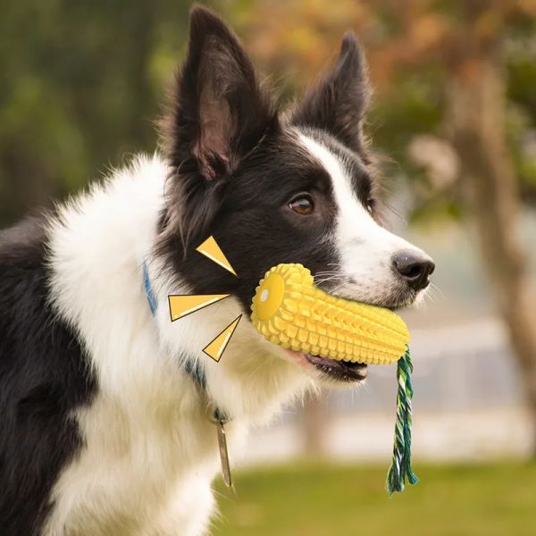 Titulaires 1 pièces brosse à dents de maïs à mâcher chien jouets chiot couineur cure-dents en caoutchouc soins dentaires nettoyage jeux interactifs produits pour animaux de compagnie molaire