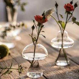 Vase en verre en forme de champignon, Vase pour plantes hydroponiques, artisanat créatif en verre, décoration pour la maison, le salon, Vase en verre pour plantes, Pots de fleurs