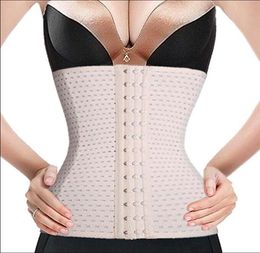 Hollow corset slanke riem xs5xl bodysuit dames taille trainer afslanke shapewear training korsetten cincher body shaper bustier hi2470131