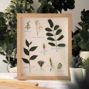 Hollow PO Frame 6 Kleuren Specimen Display Frame 3D Painting Frames Kinderen DIY Clay Art Fotolijst Houten Bureau Muur Decor 210611