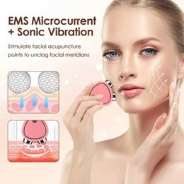 Home Beauty Instrument EMS Mini Portable Facial Facial Gewichtsverlies Massager Microstroom Delicaat profielverbetering Verbeterde huidverzorging Q240508