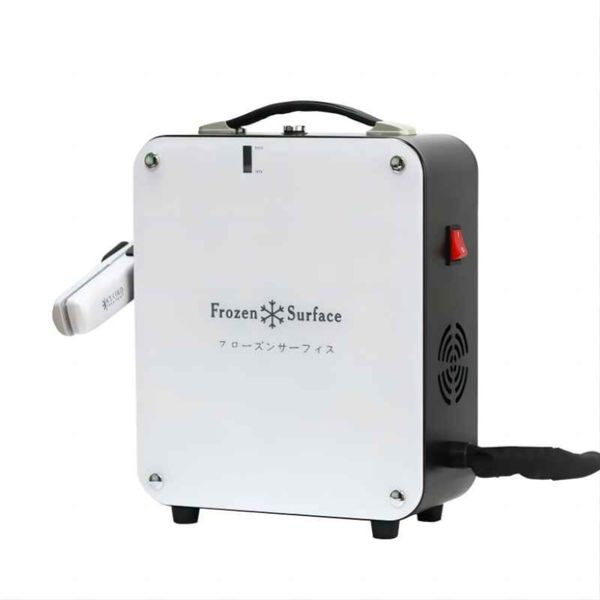 Instrumento de beleza doméstica Aparelhos de cuidados pessoais Tratamento Congelado Flat Iron Profissional Ice Cold Hair Care Set Cryolipolysis Machine627