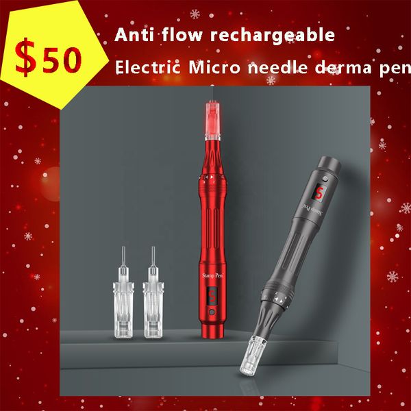 Accueil beauté mésothérapie méso stylo traitement platine LED pmicroneedling fabricant soins du visage micro 12 36 80 et nanomètre 3d cartouches d'aiguille