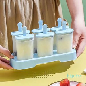 Home Diy Handmade Ice Pops Schimmel 6-pc's/Set Ice Cream Tool Mold Ice-Cream Maker Mallen keuken Popsicle mallen met stokvak