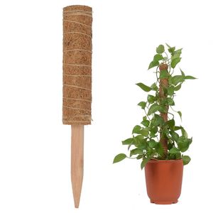 Support à domicile Pot totem en coco Plantes grimpantes Bâton Extension de bureau Cadre en treillis grimpant en fibre de coco Maintenir l'humidité Jardinières de balcon