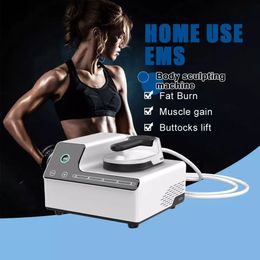 Utilisation à domicile EMSlim EMS minceur Machine RF stimulateur musculaire brûler les graisses entraîneur musculaire du plancher pelvien corps électromagnétique sculptant NEO façonnant l'instrument de beauté