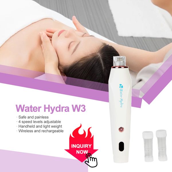 Utilisation à domicile Hydra Pen Professional micro-aiguille Dermapen Skin Care Automatic Derma Derma Meso Therapy Facial Beauty Tool